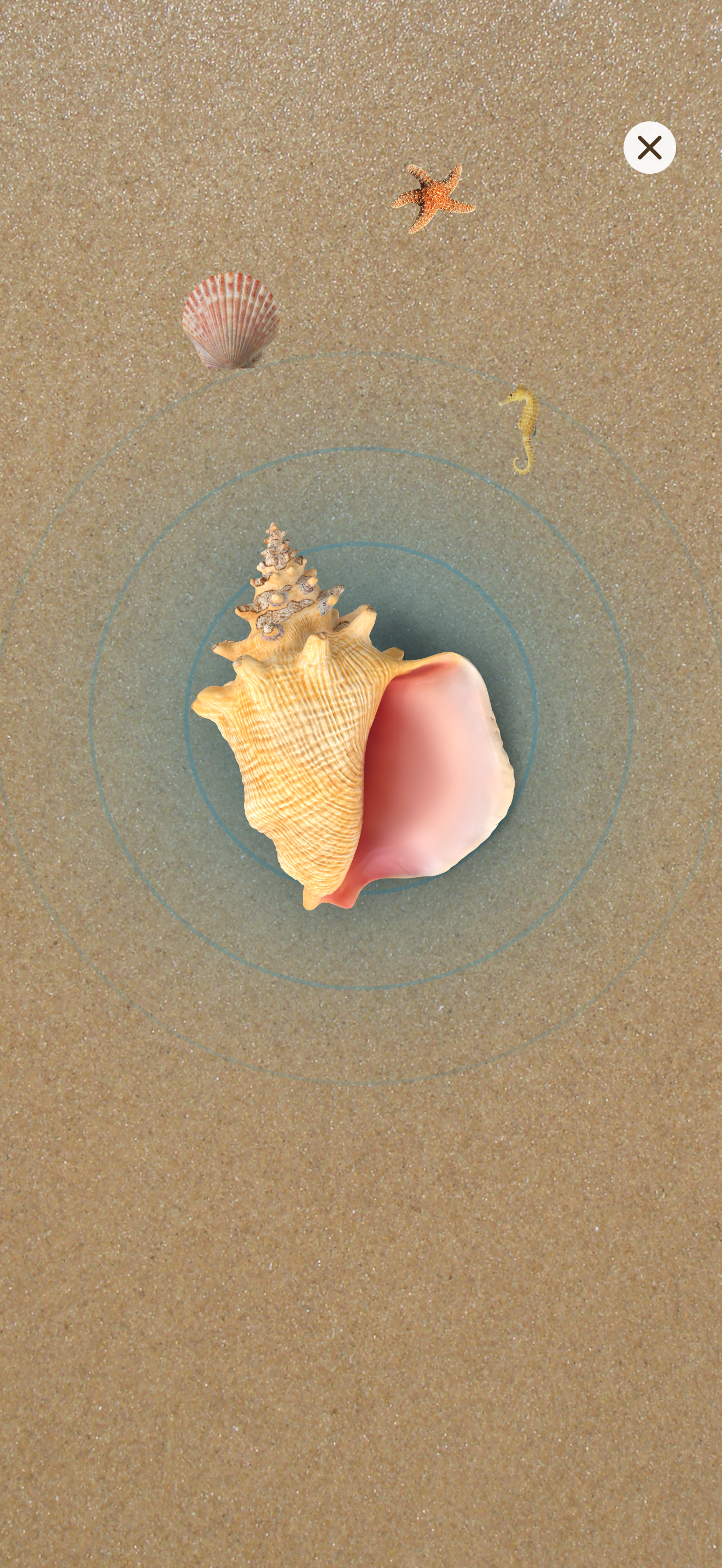 Sandbox Doodle iOS app — blow into a conch shell and hear its call